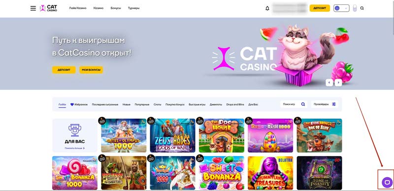 Служба поддержки Cat Casino